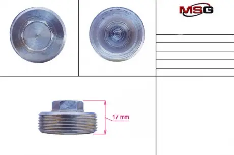 Гайка поджима боковая FORD FOCUS C-MAX 03-07, FOCUS II (DA_) 04- MSG FO223NUTS (фото 1)