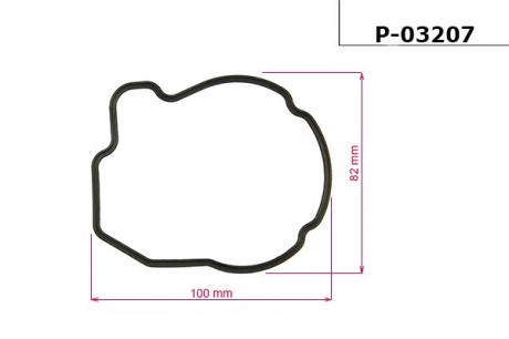 Прокладка насоса ГУР BMW 5 GRAN TURISMO 09-, X5 07-08, X6 08- EMMETEC P-03207