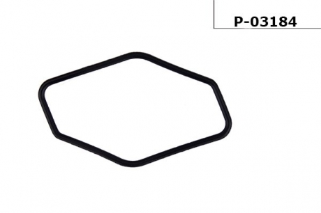 Прокладка насоса ГУР TOYOTA CAMRY USA Универсам 91-93 EMMETEC P-03184