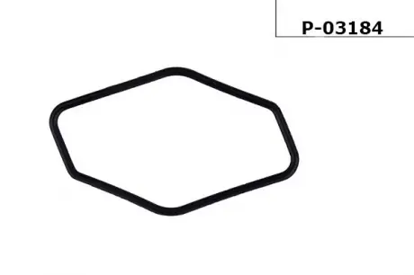 Прокладка насоса ГУР TOYOTA CAMRY USA універсал 91-93 EMMETEC P-03184
