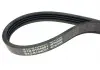 Ремінь кондиціонера / гідропідсилювача (S12, 4PK998) Aftermarket S12-8104051 (фото 3)