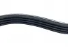 Ремень кондиционера Geely MK Aftermarket 1018002703 (фото 7)