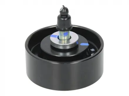 Обвідного ролик SKF VKM 61069