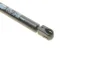 Амортизатор кришки багажника MAGNETI MARELLI 430719082000 (фото 2)