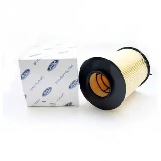 Фильтр воздушный C-MAX07- -FOCUS 3 FORD 1848220