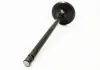 Клапан впускний 2.4 4G63-4G64 Great Wall Haval H3-Hover 4G63-4G64 Auto Parts MD159502