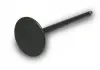 Клапан впускной 2.4 4G63-4G64 Great Wall Haval H3-Hover 4G63-4G64 Auto Parts Aftermarket MD159502 (фото 3)