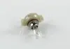 Автолампа Standard PSX24W PG20/7 24 W прозрачная PHILIPS 12276C1 (фото 4)