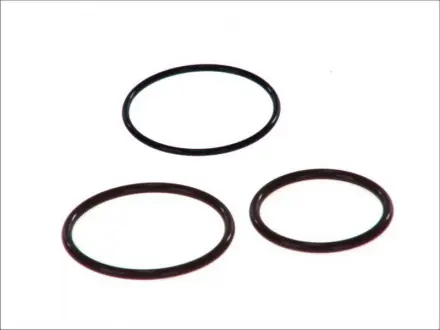 Комплект кілець з про-перетином (3шт) насос-форсунки BOSCH F 00H 4S0 001