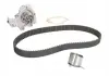 Роликовый модуль натяжителя ремня (ролик. Ремень. Помпа) SKF VKMC 90001