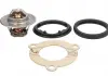 Термостат AUDI. VW. SKODA (пр-во Vernet) CALORSTAT BY VERNET TH5962.88J