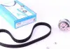 Роликовый модуль натяжителя ремня (ролик. Ремень) DAYCO KTB253