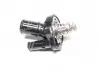 Термостат MAZDA. FORD (пр-во Vernet) CALORSTAT BY VERNET TH7142.82J