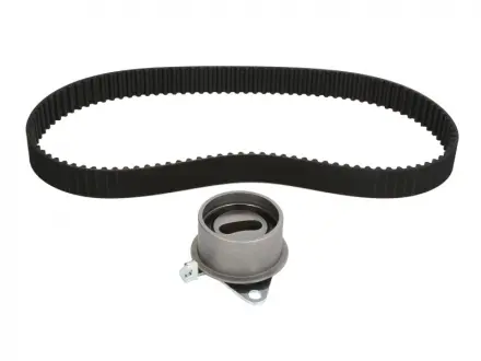Роликовый модуль натяжителя ремня (ролик. Ремень) SKF VKMA 95650 (фото 1)
