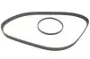 Роликовый модуль натяжителя ремня (ролик. Ремень) SKF VKMA 95666 (фото 9)