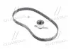 Роликовый модуль натяжителя ремня (ролик. Ремень) SKF VKMA 93005