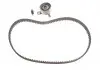 Роликовий модуль натягувача ременя (ролик. Ремінь) SKF VKMA 91006