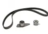 Роликовый модуль натяжителя ремня (ролик. Ремень) SKF VKMA 06114