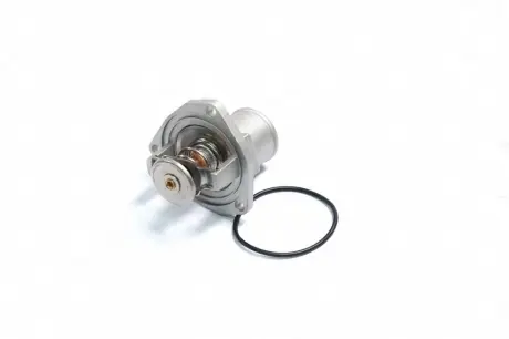 Термостат OPEL OMEGA A.B. VECTRA A.B RIDER RD.1517597992