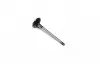 Клапан OPEL IN 1.8-2.5 16V-24V (пр-во Mahle) MAHLE 011 VE 30457 000