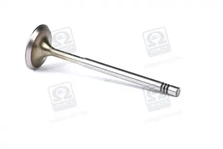 Клапан VAG IN 1.2-1.6 16V d6 (Mahle) MAHLE MAHLE KNECHT 029 VE 30528 000