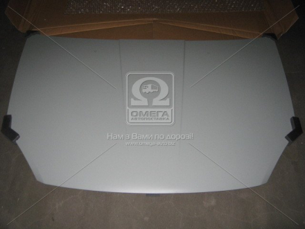 Капот CHERY ELARA 06-11 TEMPEST 015 0100 280C