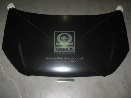 Капот HYUN GETZ 06- (1-й сорт) TEMPEST 027 0241 280