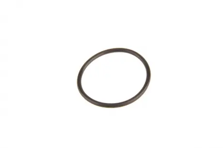Уплотнительное кольцо BOSCH F 00R 0P0 166 (фото 1)