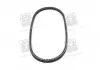 Ремень клиновой 13AVx875 SKF VKMV13AVx875 (фото 4)
