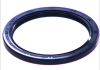 Уплотнительное кольцо коленчатого вала VICTOR REINZ 815370100 (фото 3)