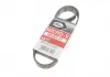 Ремень клиновидный (дл. 60-180) GATES 6PK970XS