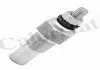 Датчик температури рідини Vernet WS2517