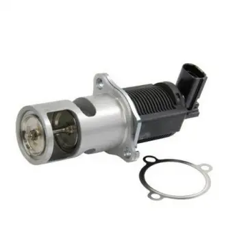Клапан реціркуляції газів MAGNETI MAGNETI MARELLI EV009 (фото 1)