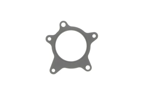 Прокладка водяного насоса Hyundai KIA Hyundai, MOBIS 251242B000