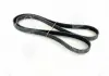 Ремень поликлин. (Пр-во SKF) SKF VKMV6PK1815