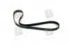 Ремень поликлин. (Пр-во SKF) SKF VKMV4PK855