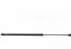 Амортизатор кришки багажника Renault Megane Scenic 96-99/Scenic I 99-03 (вен/фургон) LESJOFORS 8172922 (фото 5)