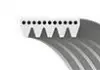 Ремень поликлиновый Gates GATES 5PK778