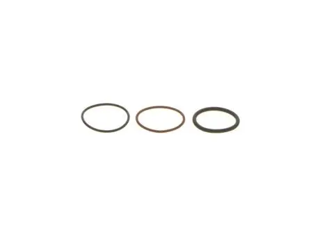 Элемент насоса-форсунки BOSCH F00VX99892