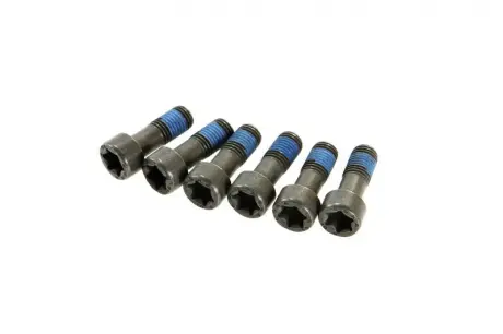 Фото 1 - комплект болтів маховика LuK 411 0132 10 Комплект болтів маховика LuK 411 0132 10 (фото 1)