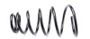 Пружины подвески LESJOFORS 4237227 (фото 3)
