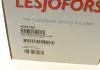 Пружины подвески LESJOFORS 4035766 (фото 6)
