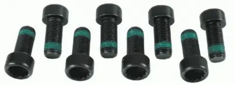 Комплект болтів зчеплення SACHS 1874 000 018 (фото 1)