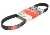 Ремень поликлиновой GATES 6PK803
