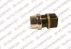 Датчик температуры DELPHI TS10245-12B1
