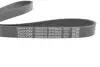 Ремень поликлиновой DAYCO 6PK962S (фото 3)