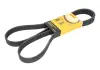 Дорожечный пас Contitech 7PK1770