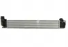 Интеркулер THERMOTEC DAR014TT