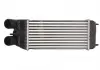 Интеркулер THERMOTEC DAP003TT