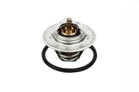 Термостат VW T5/Caddy/Passat 1.6/2.0i 03-15 (від 87-102 ° C) (OE VAG) Borsehung B13140